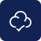 icon-api-validation